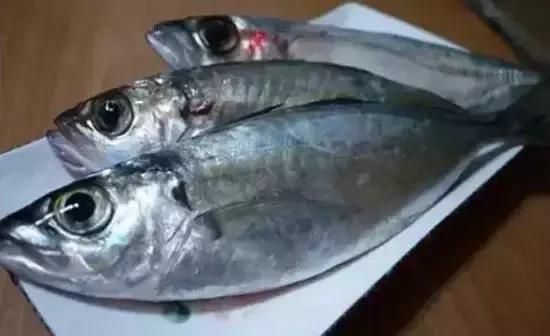 海南胜地风华的魅力展现