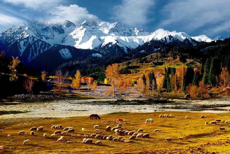 新疆,嘉宾云集,观众热情如火