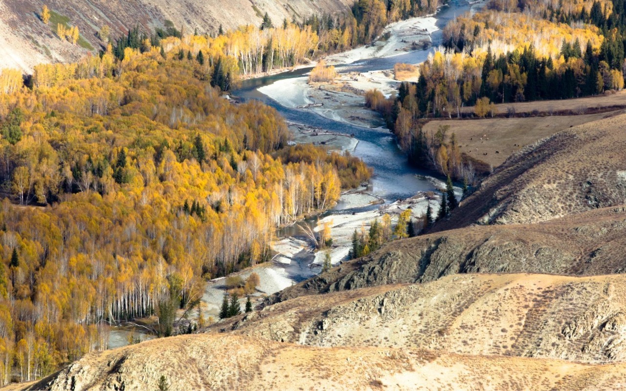 新疆，绚丽多彩的美丽疆域